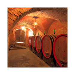 Pfalz - Muskateller und Riesling - WG Andres 2023er