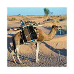 Cognac - Montifaud X.O.- Silberbox