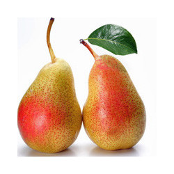 ANDRES - Williams - Birnenbrand - Liter And