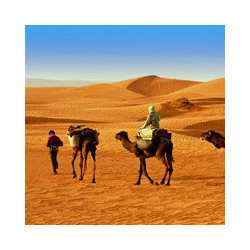 Tunesien - Soleil - Feigen-Destillat - Boukha Habib