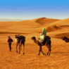 Tunesien - Soleil - Feigen-Destillat - Boukha Habib