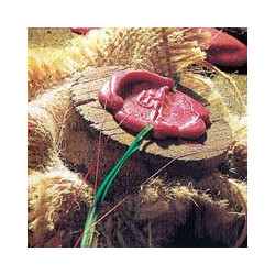 Cognac -Montifaud Napoleon Special Cigarre .