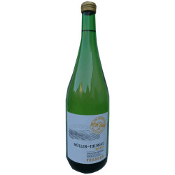 RIPASSO - Valpolicella Classico Superiore 2020er