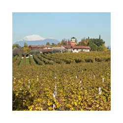 Garda - Lugana - Selva Capuzza 2024er