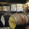 Cognac - Montifaud - VSOP - Petite Champagne