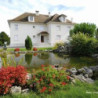 Cognac - Montifaud - VSOP Premium Oval
