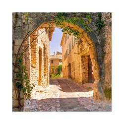 Latium - Frascati - Vigneto Santa Teresa 2021er