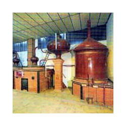 GIN - Osmoz Citrus - Château Montifaud