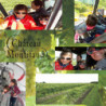 Cognac - Montifaud V.S. - Petit Champagne
