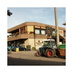 Pfalz - Dornfelder Roter Sekt 2016er