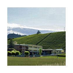 Piemont - Barolo DOCG - Riserva 2012er