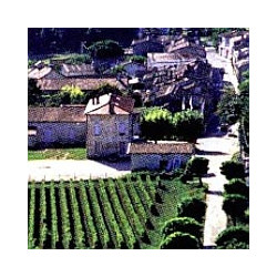 Latium - Frascati - Vigneto Santa Teresa 2021er