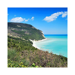 Marche - Antigo Sasso - Rosso Conero 2021er