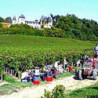 Bordeaux - Clos des Menuts - St.Emilion Grand Cru 2020er