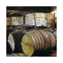 Cognac - Montifaud - VSOP - Petite Champagne