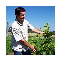 Piemont - Barolo DOCG - Riserva 2012er