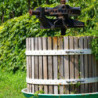 Franken -Grossostheim Grauburgunder SL 0,75 2025er