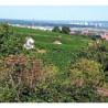 Franken -Grossostheim Grauburgunder SL 0,75 2025er