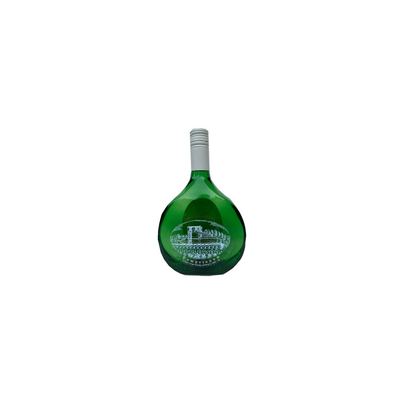 MOTIV- Franken -Pompejanum - Silvaner BB - 0,75 2025er