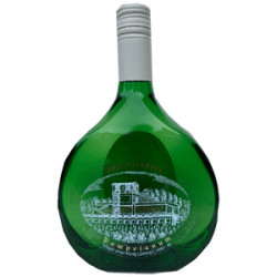 MOTIV- Franken -Pompejanum - Silvaner BB - 0,75 2025er