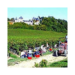 Bordeaux - Clos des Menuts - St.Emilion Grand Cru 2020er