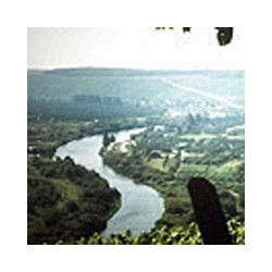 GN-Maintalschoppen - Müller-Tafelwein Main - Trocken