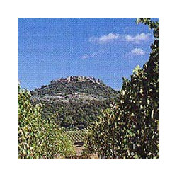 Abruzzen - Montepulciano d-Abbruzzo Villa Rocca 2024er