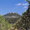 Italien - Montepulciano d'Abruzzo 0,75 2024er