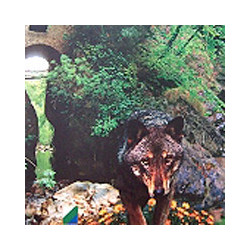 Abruzzen - Montepulciano d-Abbruzzo Villa Rocca 2024er