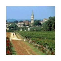 Bordeaux - Clos des Menuts - St.Emilion Grand Cru 2020er