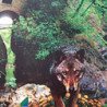 Italien - Montepulciano d'Abruzzo 0,75 2024er