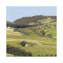 Italien - Montepulciano d'Abruzzo 0,75 2024er