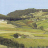 Italien - Montepulciano d'Abruzzo 0,75 2024er