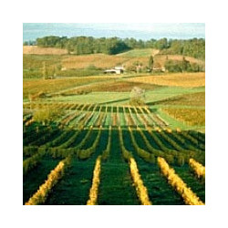 Frankreich - Bergerac - Rosé - Chateau Belingard 2021er