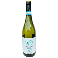 Rn-Marche - Verdicchio Classico  - Coste Molino 2019er