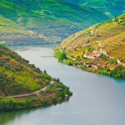 GN-Franken - Volkacher Bacchus - Zahony 2023er