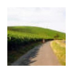 GN-Maintalschoppen - Müller-Tafelwein Main - Trocken