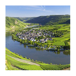 Mosel - Reiler vom heissen Stein Spätlese 2025er