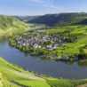Mosel - Reiler vom heissen Stein Spätlese 2025er