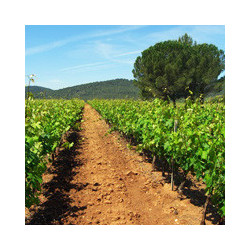 Bordeaux - Clos des Menuts - St.Emilion Grand Cru 2020er