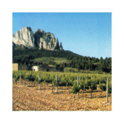 Rioja - Faustino -  Reserva 2016er