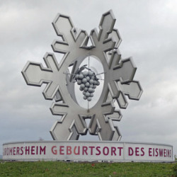 Eiswein-Mainzer Goldmuskateller 0,375 2023er