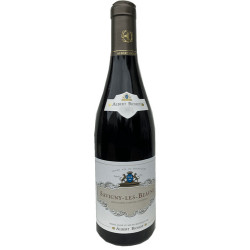 Pfalz - Ruppertsberger Reiterpfad Riesling 2023er