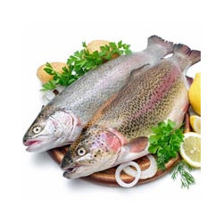 Amarone Riserva Classico -  Caterina Zardini 2012er