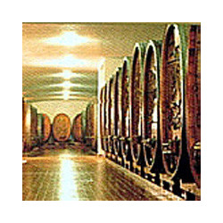 Elsass - Pinot Noir Rouge - Cuvée Tradition 2018er