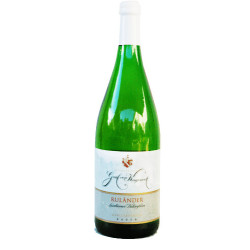 Valencia - Spanien - Sangreno 2023er